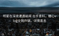 明星在深夜遭遇秘闻 出乎意料，糖心vlog全网炸锅，详情直击