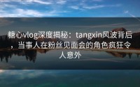糖心vlog深度揭秘：tangxin风波背后，当事人在粉丝见面会的角色疯狂令人意外