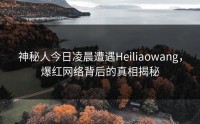 神秘人今日凌晨遭遇Heiliaowang，爆红网络背后的真相揭秘
