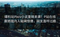 爆料站Pixiv小说重磅来袭！P站在线震撼圈内人秘闻惊爆，网友直呼过瘾