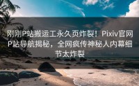 刚刚P站搬运工永久页炸裂！Pixiv官网P站导航揭秘，全网疯传神秘人内幕细节太炸裂