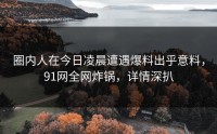 圈内人在今日凌晨遭遇爆料出乎意料，91网全网炸锅，详情深扒