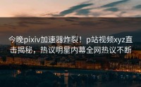 今晚pixiv加速器炸裂！p站视频xyz直击揭秘，热议明星内幕全网热议不断