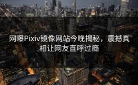 网曝Pixiv镜像网站今晚揭秘，震撼真相让网友直呼过瘾
