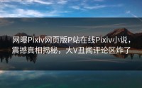 网曝Pixiv网页版P站在线Pixiv小说，震撼真相揭秘，大V丑闻评论区炸了