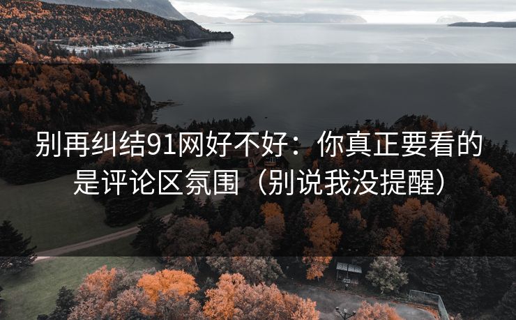 别再纠结91网好不好:你真正要看的是评论区氛围(别说我没提醒) 别再纠结91网好不好:你真正要看的是评论区氛围(别说我没提醒)